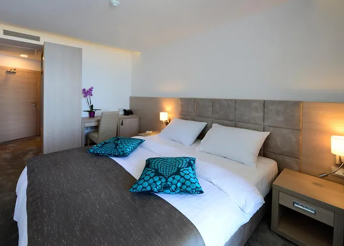 亚得里亚海2号大酒店 3*